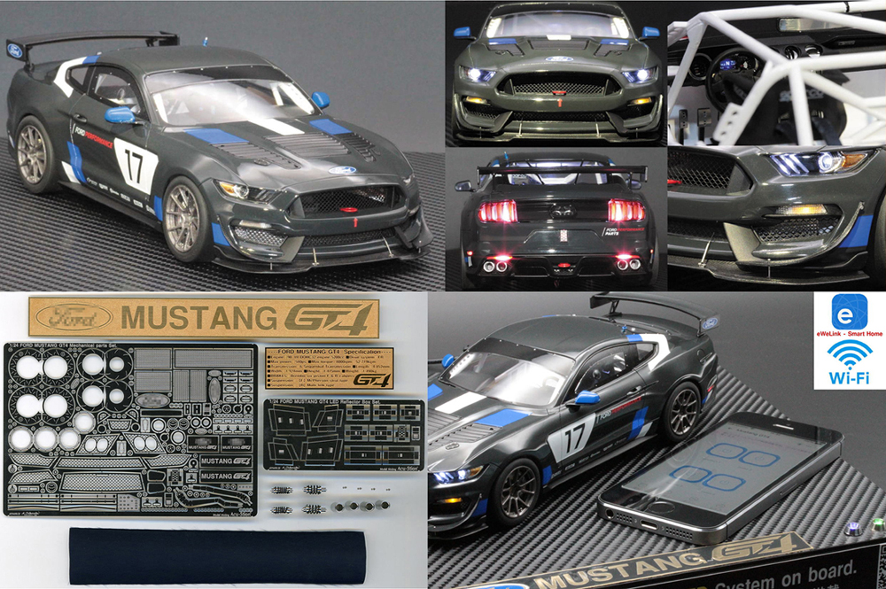 1/24 FORD MUSTANG GT4 Acupuncture Takenaka