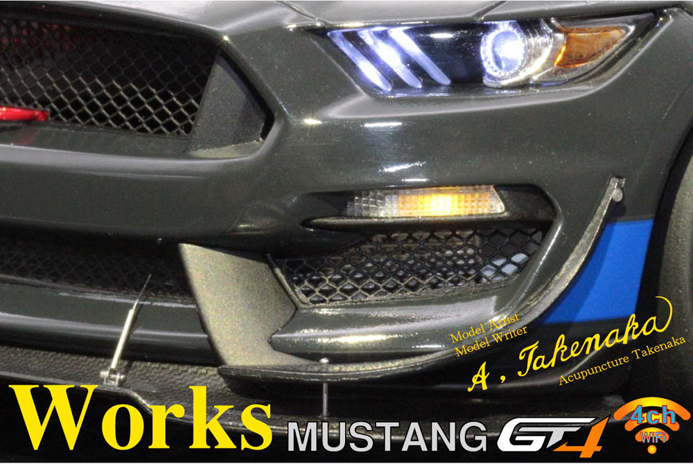 1/24 FORD MUSTANG GT4 Acupuncture Takenaka / Works CD