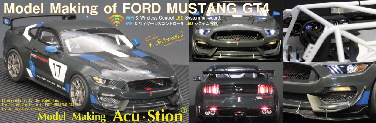 1/24 FORD MUSTANG GT4
