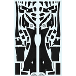 SF70H フルカーボンデカール