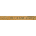 1/24 FORD MUSTANG GT4 Name plate