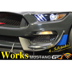 1/24 FORD MUSTANG GT4 Acupuncture Takenaka / Works CD