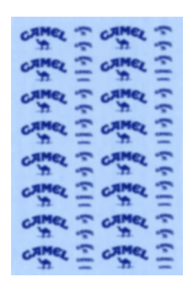 1/24 CAMEL